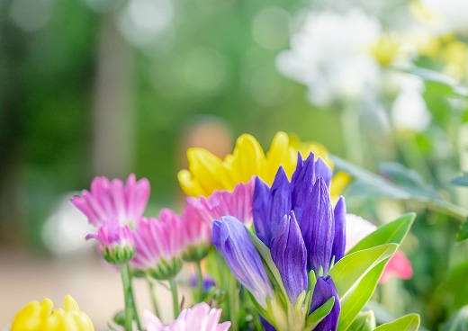 多様な供養プラン